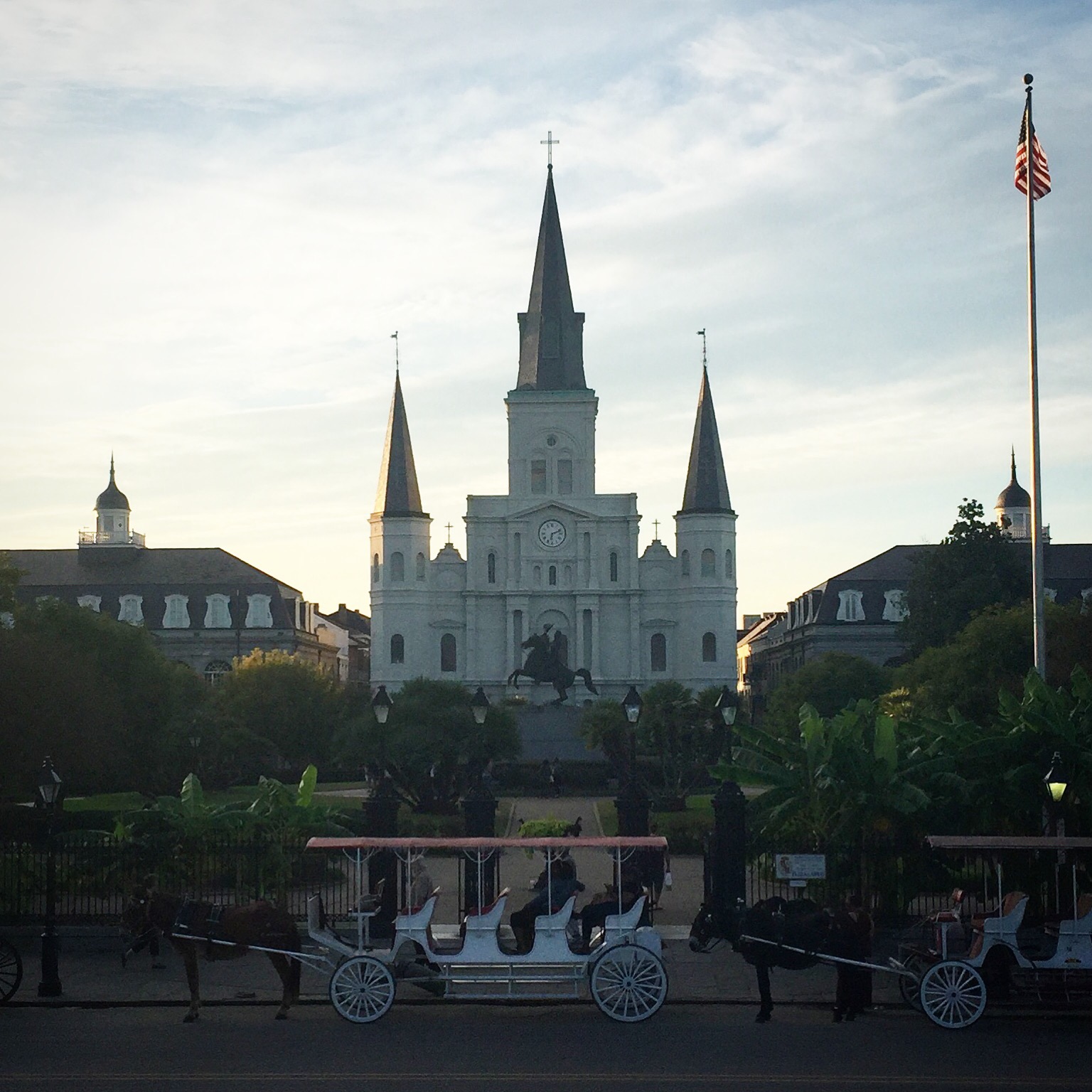 picture of Saint Charles Cathedral