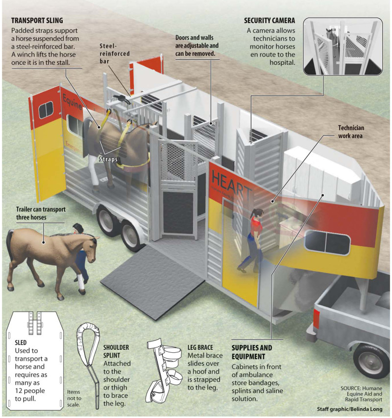 Horse Ambulance infographic