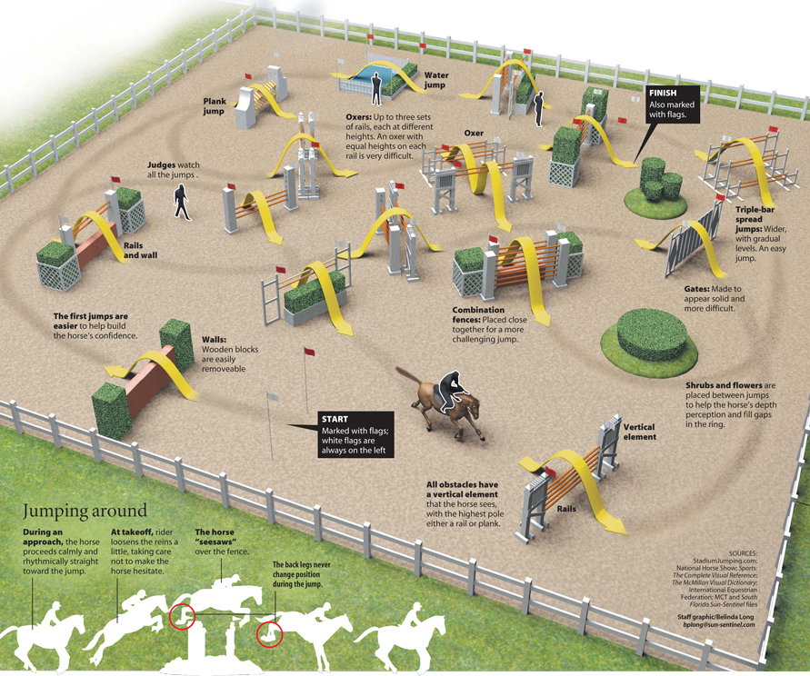 Horse show jumping news illustrated infographic