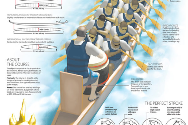 Dragon boat infographic