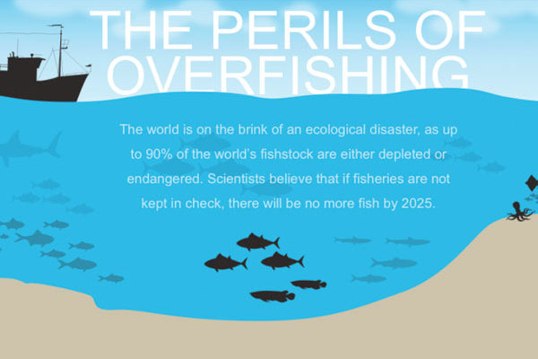 Overfishing Interactive