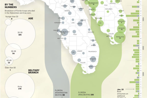 Florida War Deaths Data Visual