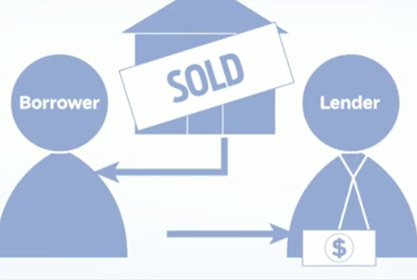 Sun Sentinel  Home Foreclosure Process Motion Graphic