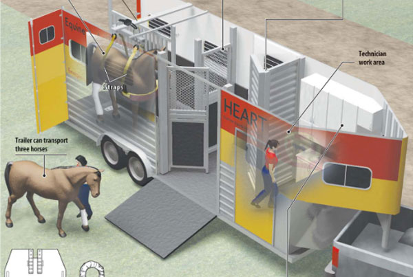 Sun Sentinel Equine Ambulance Infographic