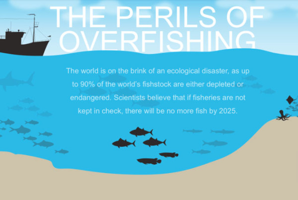 KBM Perils of Overfishing interactive
