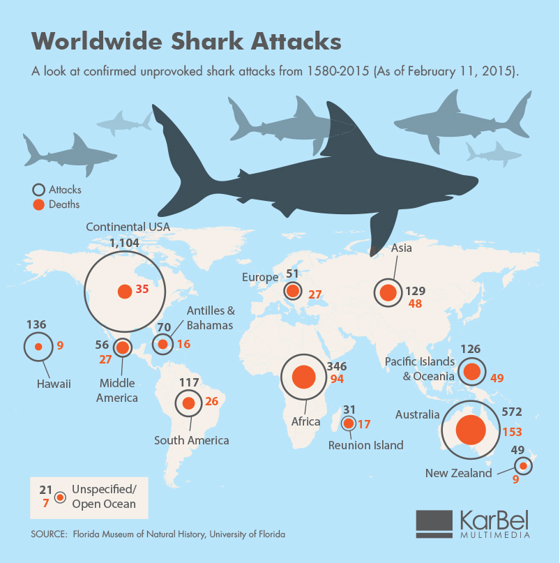 shark attack infographic image