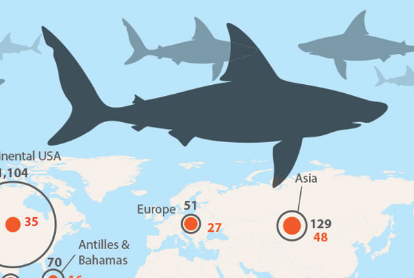 shark attack infographic blog image