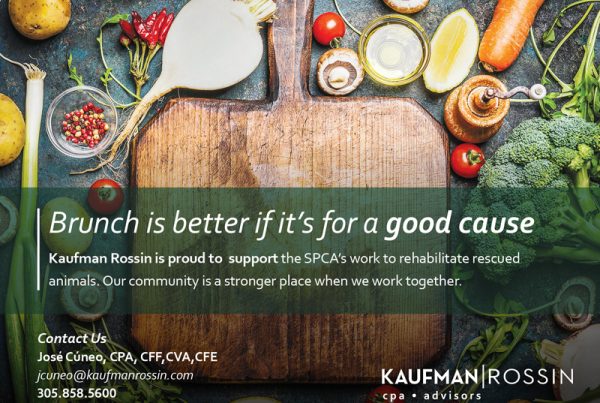Kaufman Rossin SPCA-Farm-to-Stable ad design