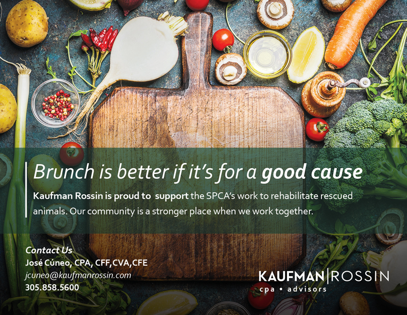 Kaufman Rossin SPCA-Farm-to-Stable ad design