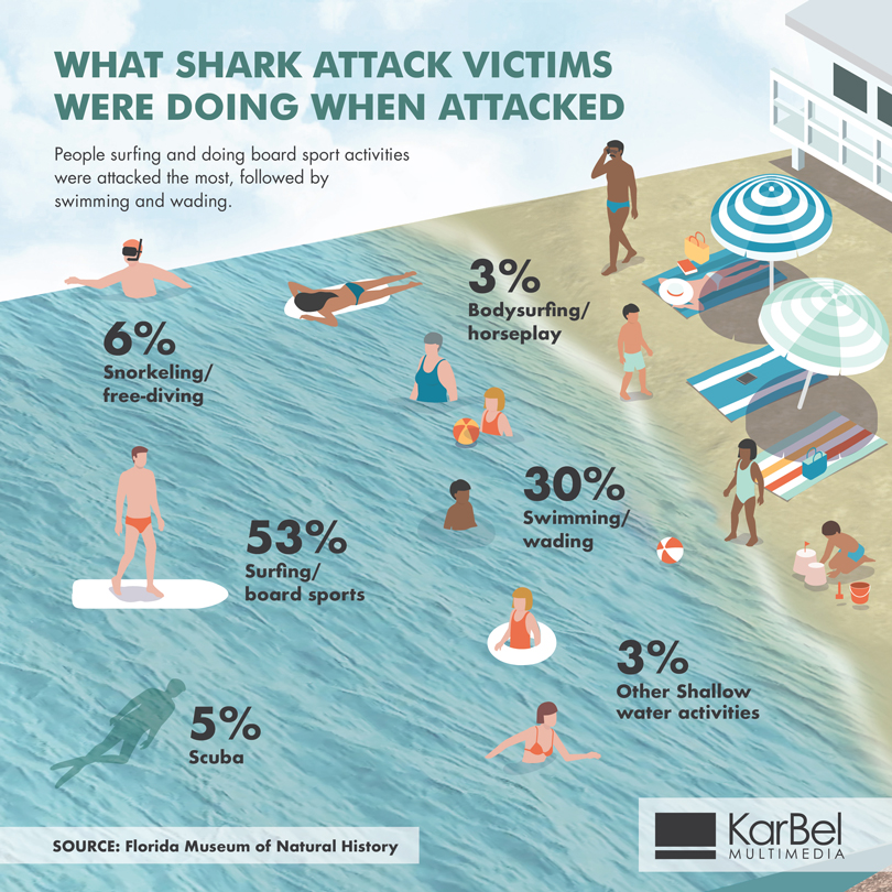 Shark-attack-victim-activity-infographic-02