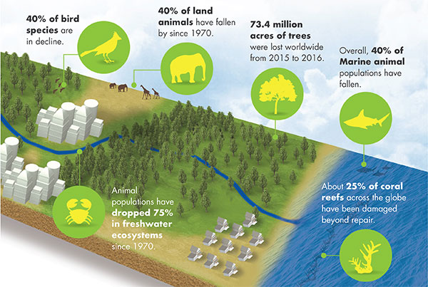 KBM Earth Day infographic