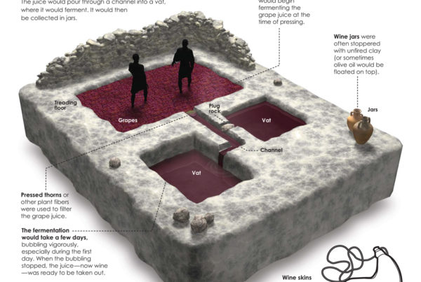 Faithlife Ancient Wine Press infographic