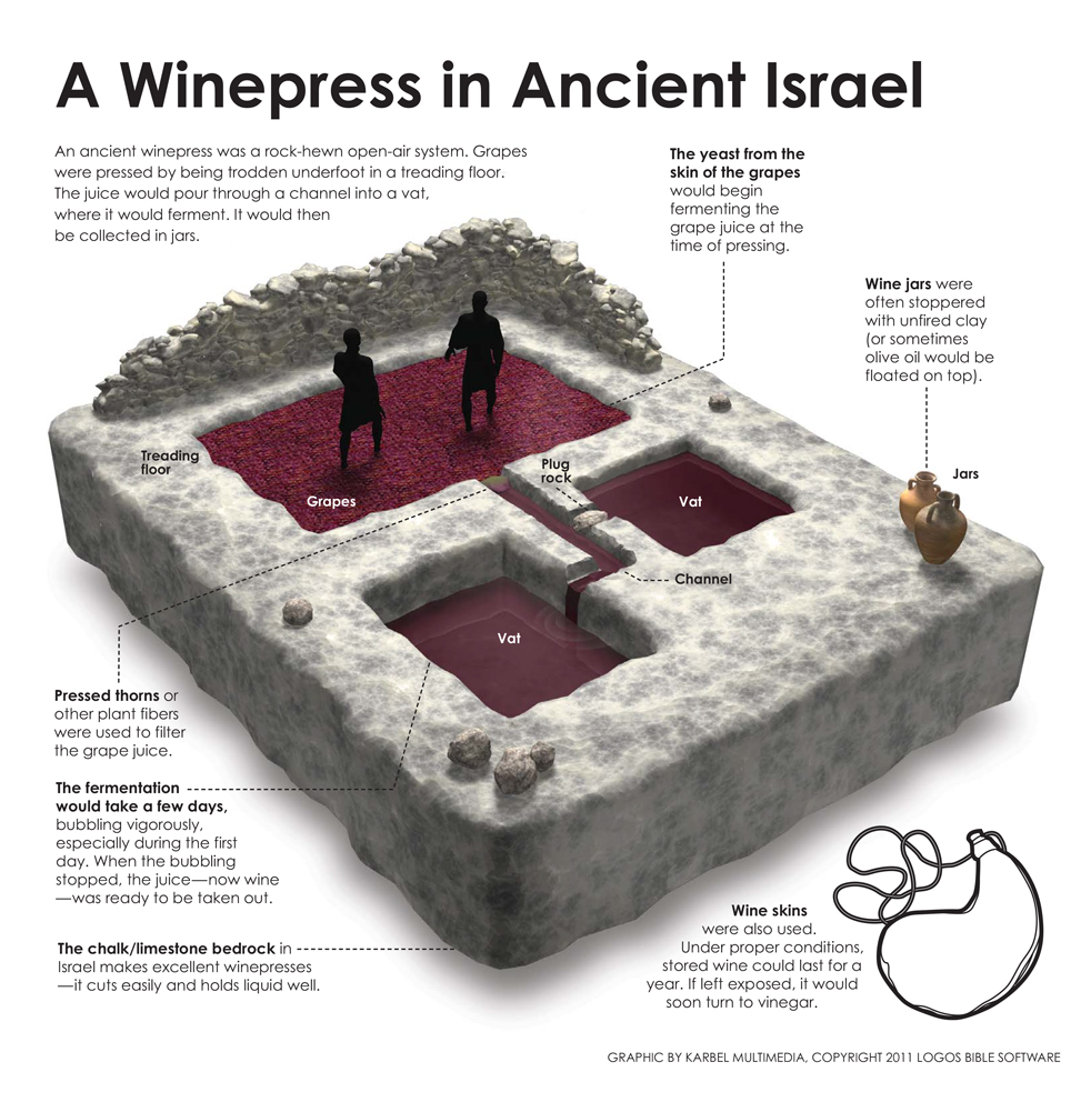 Ancient Wine Press infographic