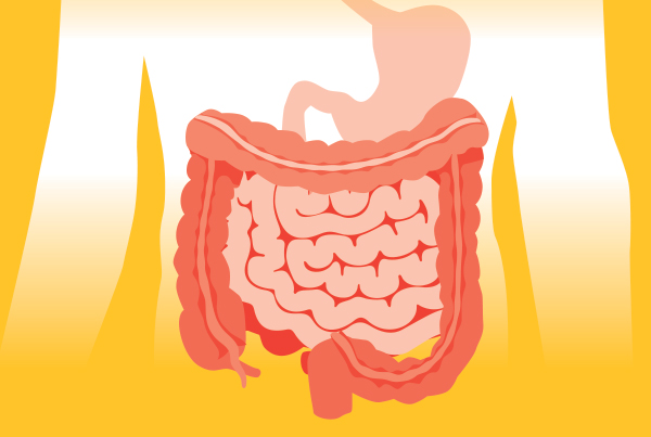 Stand Up To Cancer Racial / Ethnic Equity in Colorectal Cancer Screening infographic